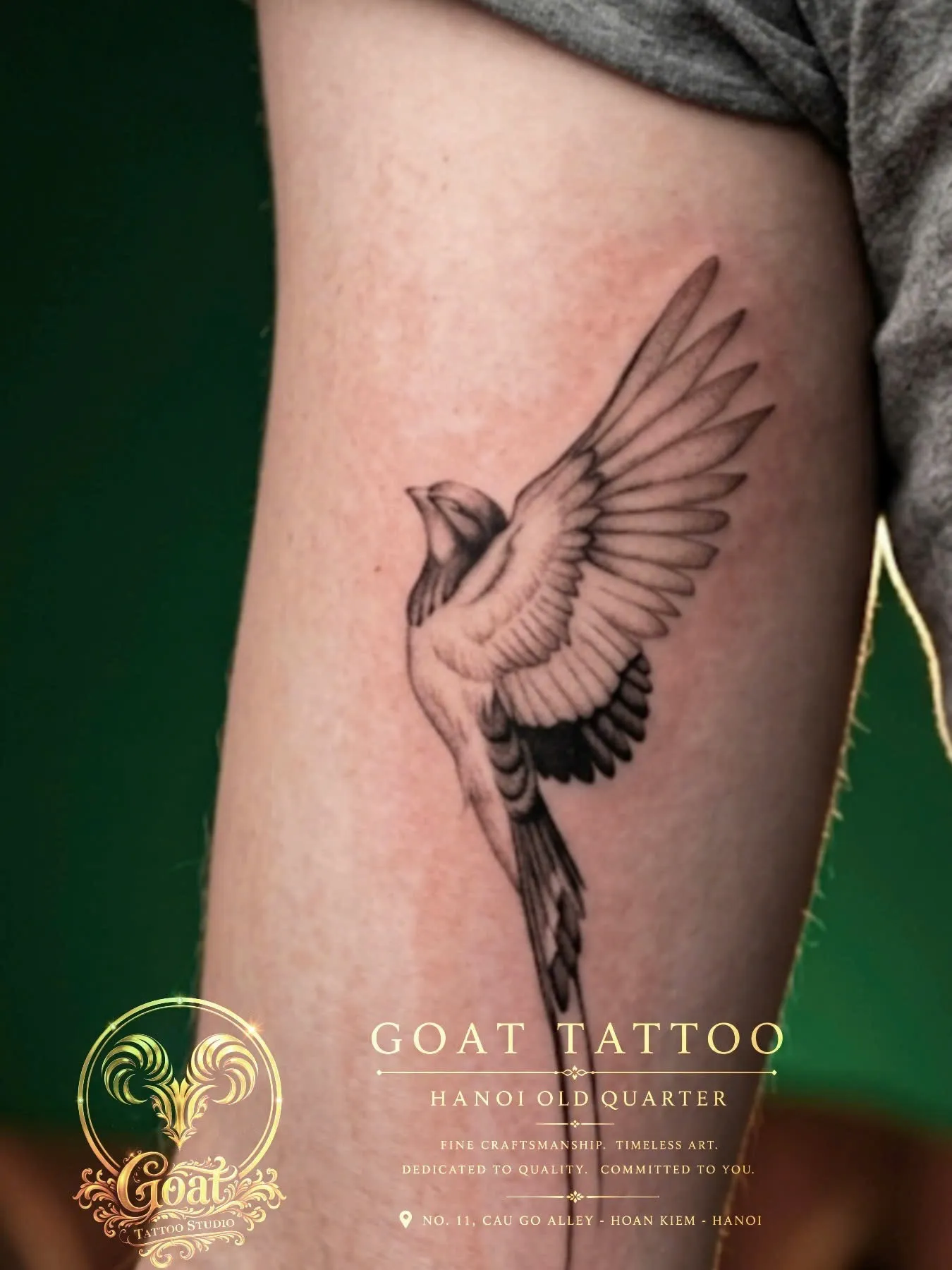 Black and grey illustrative sparrow tattoo with an outstretched wing on the upper arm, by GOAT Tattoo Studio in Hanoi.