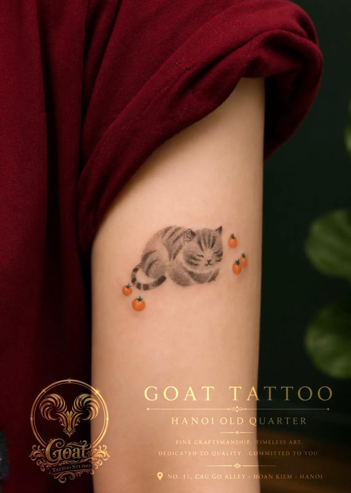 A small colorful illustrative tattoo of a sleeping tabby cat surrounded by little tomatoes on the upper arm, done at GOAT Tattoo Studio in Hanoi's Old Quarter.
