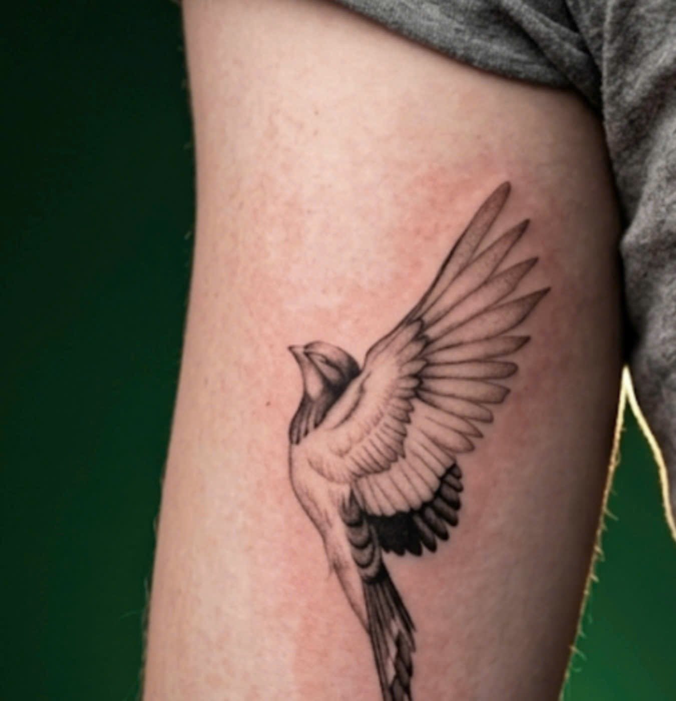 Sparrow Tattoo Meaning: Freedom, Faith and Sparrow vs Swallow